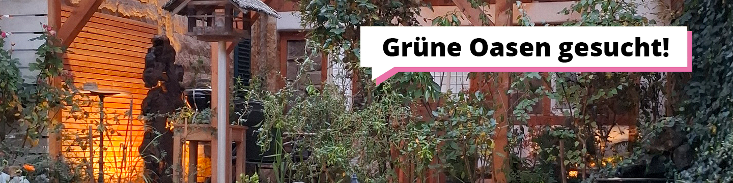 Grüne Oasen gesucht