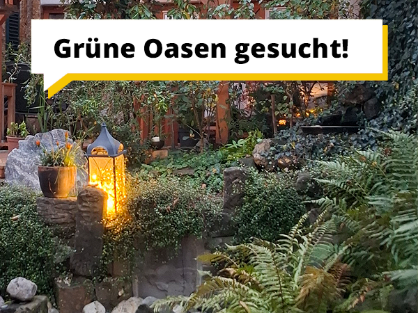 Grüne Oasen gesucht